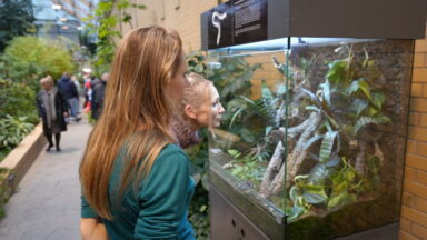 Oranżeria wystawa stawonogów