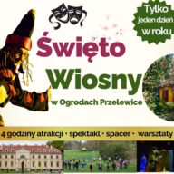 Święto Wiosny, obrazek wyróżniający