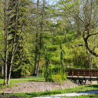 Foto Ogród Dendrologiczny 2026