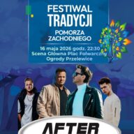 Plakat After Party