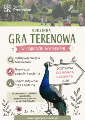 rodzinna gra terenowa